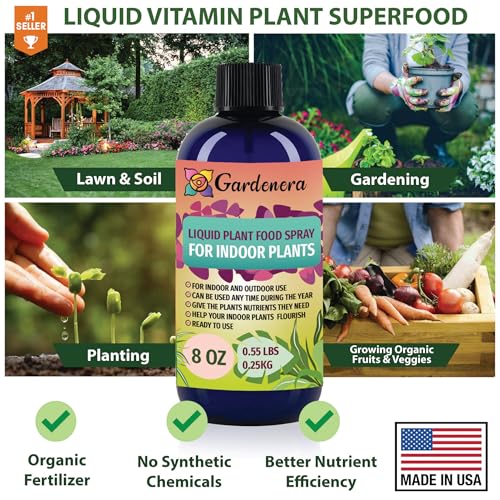 Professional Succulent & Cactus Superfood Spray Mist for Home Gardening | Micro-Fungi Enriched Fertilizer Mist for Healt