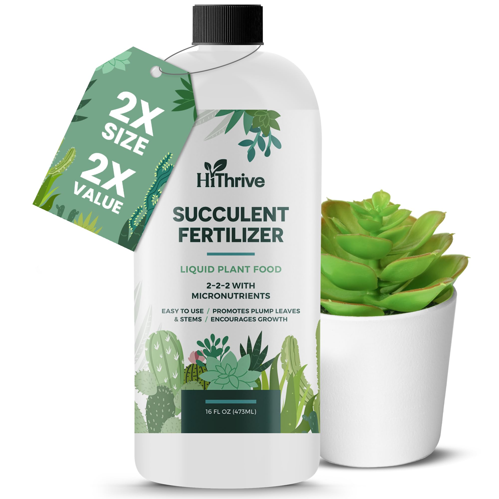 16oz Succulent Fertilizer - 32 Gallons of Plant Food for Succulents, Live Liquid Fertilizer - Promotes Vibrant Leaves, R