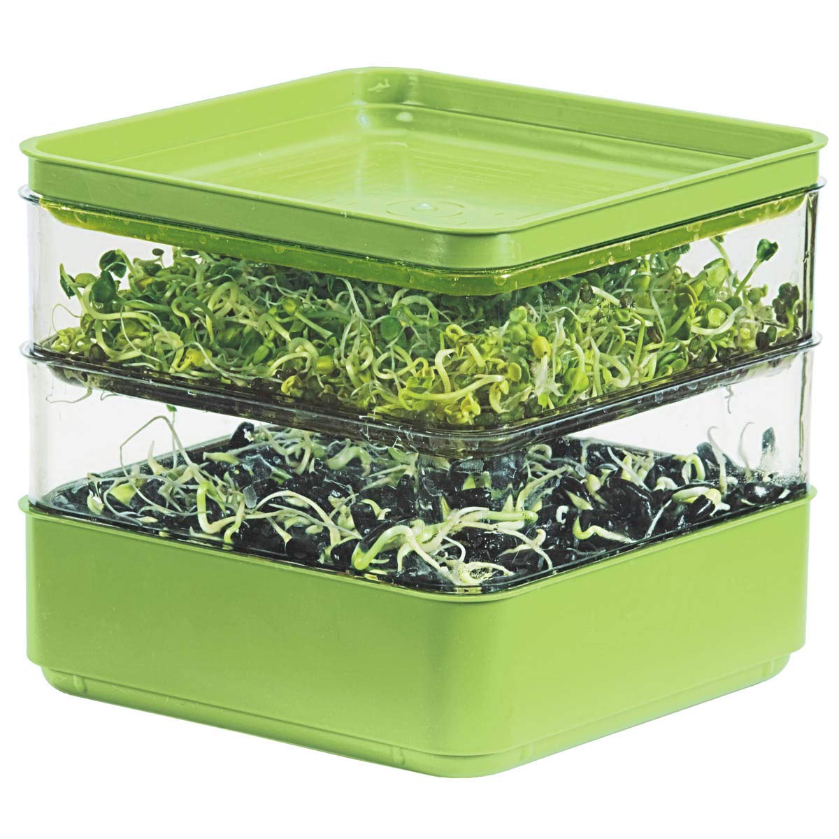  Two Tier Stackable Seedling Starter Kit for Microgreens Propagation
| Seed Sprouter Trays with Lid for Indoor Germinati